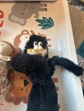Felix cat cabbage for sale Felix cat cabbage for sale  NEWARK