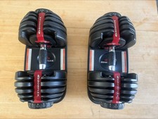 bowflex dumbbells 552 for sale  Pittsfield