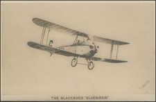 The blackburn bluebird gebraucht kaufen  Schwalmtal