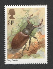 1985 insects stag for sale  LONDON