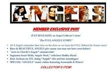 Charlie angels dvd for sale  Fair Oaks