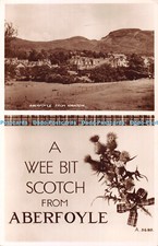 R431489 wee bit for sale  WARLINGHAM