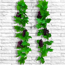 Pezzi viti uva usato  Roma