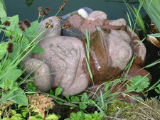 Wasserspeier frosch faul gebraucht kaufen  Wittlich