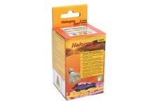 Lucky reptile halogen gebraucht kaufen  Waldkirch