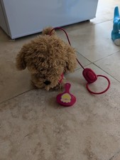 Waffle wonder dog for sale  CANTERBURY