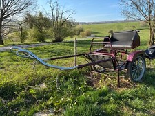 Gig sulky günther gebraucht kaufen  Schlangenbad