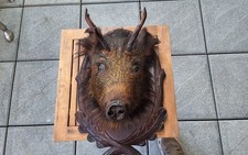 Wildsaukopf wildschwein brett gebraucht kaufen  Beckingen