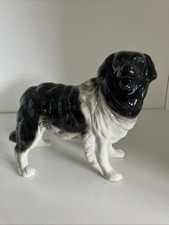 bernese mountain dog for sale bernese mountain dog for sale BIRMINGHAM