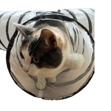 Interactive cat way for sale  Albertville
