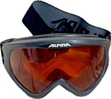 Alpina skibrille brille gebraucht kaufen  Ilmenau, Martinroda