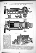 Antique print 1883 for sale  UK