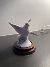White dove andrea for sale  Lebanon