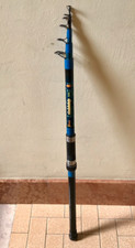 Persicus goldship 300 usato  Virle Piemonte