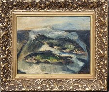 Giovanni balansino .natura usato  Barge
