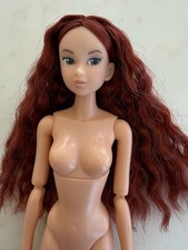 Petworks momoko doll for sale  Henderson