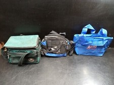 Mini refrigerador térmico portátil de lona pequena com isolamento térmico LOTE 3 sacos sacolas comprar usado  Enviando para Brazil