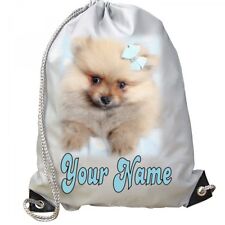 Pomeranian teacup dog for sale  DUDLEY