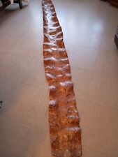 Belle peau serpent. d'occasion  Mauvezin
