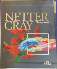 Cofanetto netter gray usato  Caltanissetta