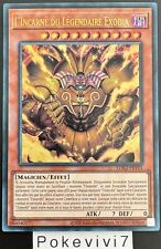 Carte incarne legendaire d'occasion  Valognes