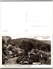 Alpengarten pforzheim germany for sale  Southampton