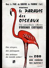 oiseaux exotiques d'occasion oiseaux exotiques d'occasion Expédié en Belgium