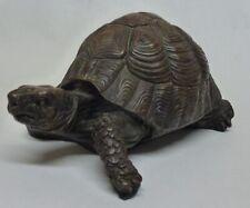 pet tortoise for sale  WATFORD