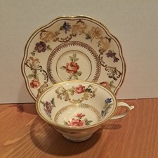 Schwarzenhammer bavaria teacup for sale  Camdenton