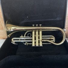 Cornet blessing scholastic for sale  NORWICH