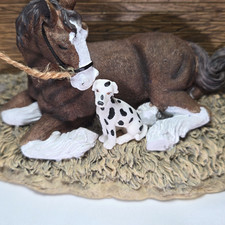 Anheuser busch clydesdale for sale  Pompano Beach
