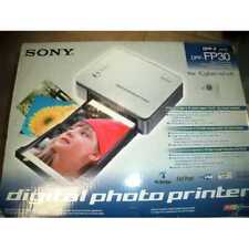 Dpp fp30 sony usato  Sorbolo Mezzani