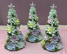 Holiday succulent christmas for sale  Lincoln