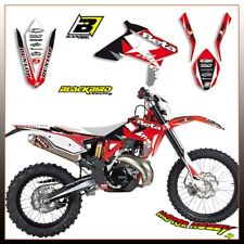 Kit grafiche blackbird usato  Petriolo