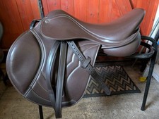 Premier equine brown for sale  EYE