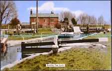 X000365 buckby top for sale  WARLINGHAM
