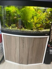 180l aquarium panoramablick gebraucht kaufen  Blaustein