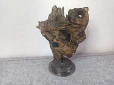 Schwemmholz design wurzel gebraucht kaufen  Oy-Mittelberg