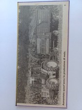 Cartolina antica agraria usato  Cavriago
