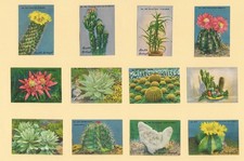 Botanika poster briefmarken gebraucht kaufen  Versand nach Germany