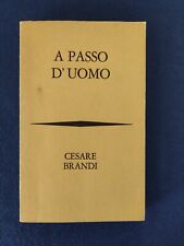 Passo uomo cesare usato  Solesino