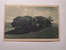 cartolina roma antica usato  Cortona