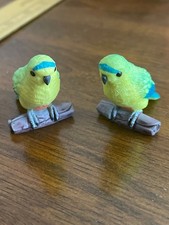 rescue birds for sale rescue birds for sale Bunker Hill