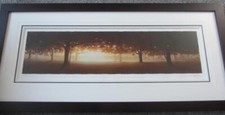 John waterhouse natures for sale  BONNYBRIDGE