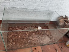 Terrarium schildkröten ges gebraucht kaufen  Weinheim