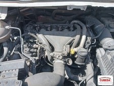 Motore peugeot expert usato  Catania