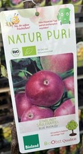 Säulen apfel baum gebraucht kaufen  Pinneberg