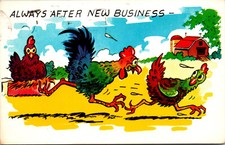 Humor chickens rooster for sale  Atlanta