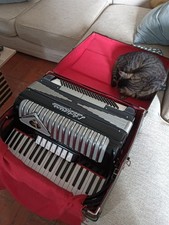 Fisarmonica artigiana castelfi usato Fisarmonica artigiana castelfi usato  Pomarance