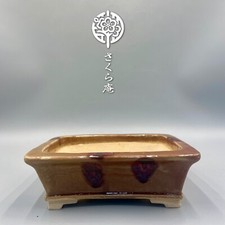 Pote japonês Bonsái "FUKUDA KEIUN" C:17cm 7,0 pol./L:5,7 pol./H:2,4 pol. do Japão #239 comprar usado  Enviando para Brazil